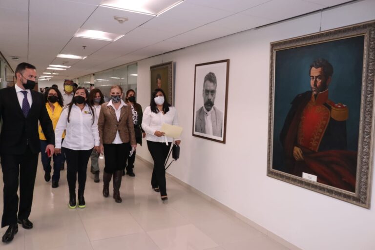 Acción inconstitucional contra la interpretación de la Propaganda Gubernamental: PRD