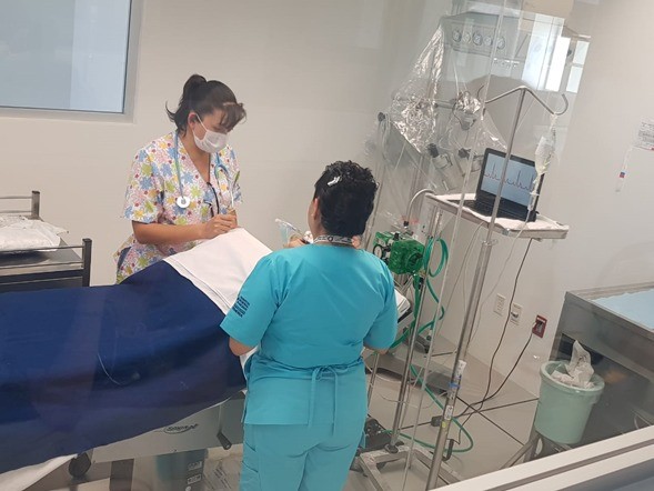 La Enfermería, Profesión que Enaltece la Sensibilidad Humana