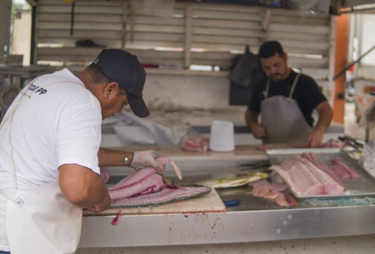 Piden Mexicanos Evitar Engaños en la Venta de Pescado: Oceana