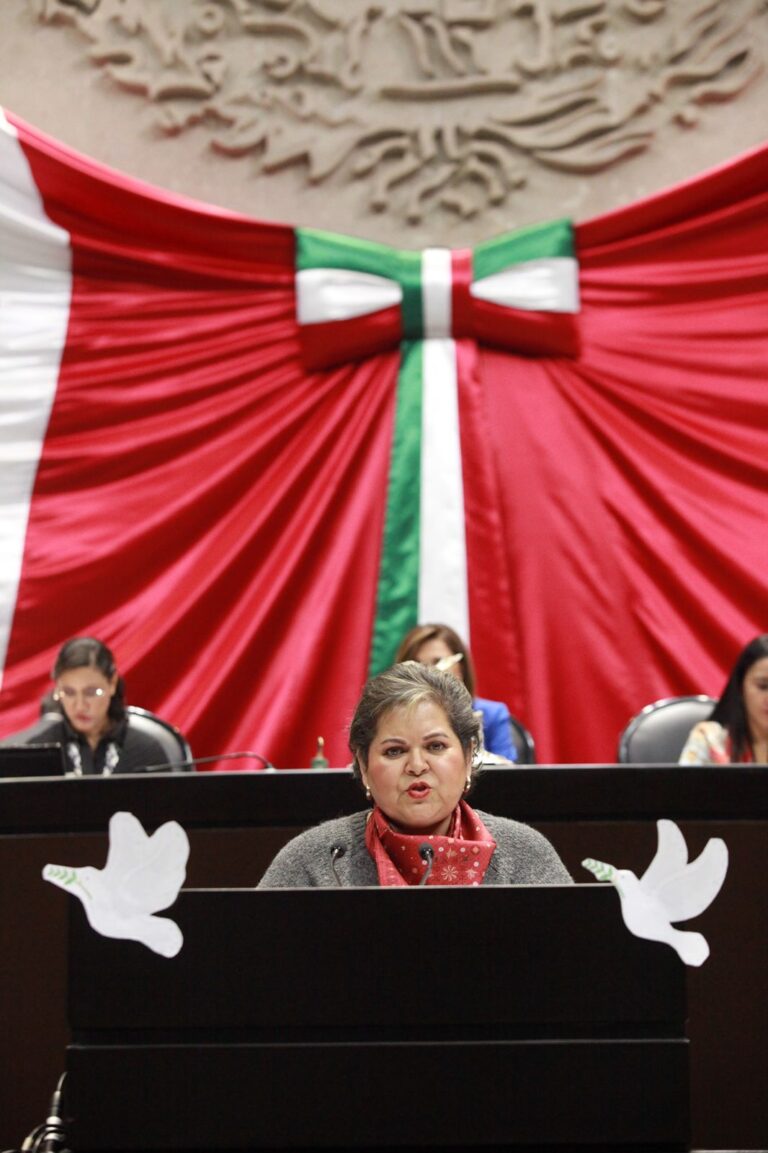Respaldan Diputados Federales la Gestión de Rosario Ibarra, al Frente de la CNDH