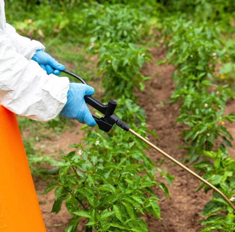 Sector Agroquímico, Lanza Alerta por Prohibición del Glifosato el 1 de abril de 2024 en México