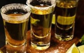 Tequila, Cerveza, Refrigeradores, Aguacate y Mango, son las Joyas de la Exportación Mexicana: Arnulfo R. Gómez